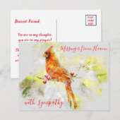 Waterverf Red Cardinaal Messenger uit Heaven Briefkaart (Voorkant / Achterkant)
