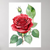 Waterverf Red Rose Modern Art Poster (Voorkant)