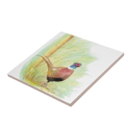 Waterverf Ring Necked Pheasant Bird Art Tegeltje (Zijkant)