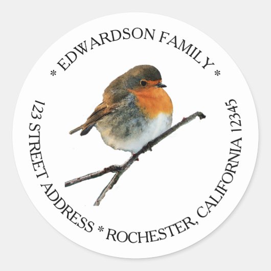 Waterverf Robin bird name return address Ronde Sticker (Voorkant)