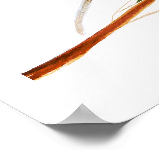 Waterverf Robin Bird Poster (Hoek)