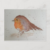 Waterverf Robin Briefkaart (Voorkant)