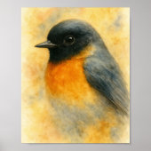 Waterverf Robin Portrait Poster (Voorkant)