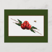 Waterverf rode appels briefkaart (Voorkant)