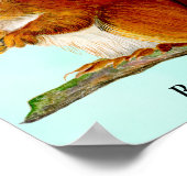 Waterverf rode eekhoorn Poster schilderen (Hoek)