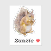 Waterverf rode eekhoorn sticker (Vel)