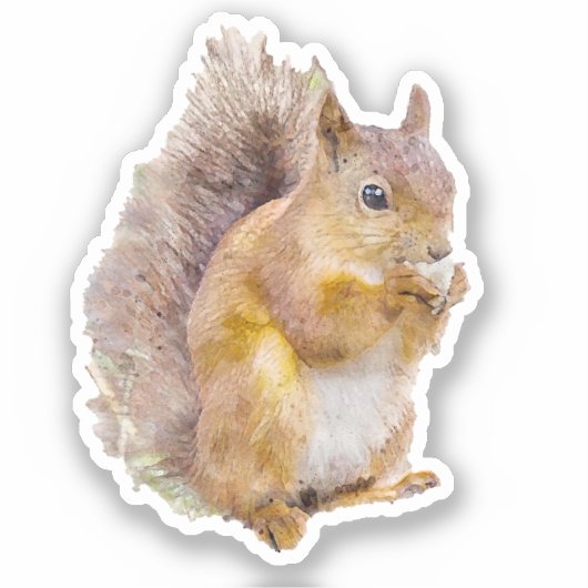 Waterverf rode eekhoorn sticker (Voorkant)