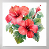 Waterverf Rode Felere Hibiscus Bloemgroen  Poster (Voorkant)