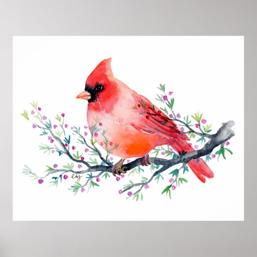 Waterverf rode kardinaal op Berry Branch Poster (Voorkant)