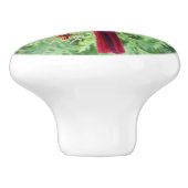 Waterverf Rode Kardinaal Vogel natuur kunst Keramische Knop (Zijkant)