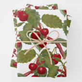 Waterverf  rode kersen inpakpapier vel (In situ)