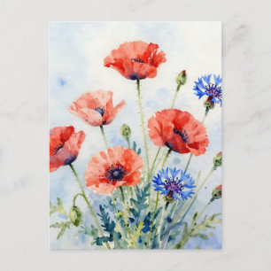 Waterverf Rode Klaproos Blauwe Korenbloem Boeket Briefkaart