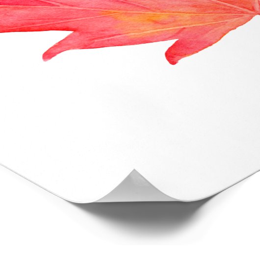 Waterverf rode mantel poster (Hoek)