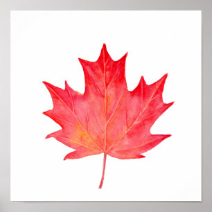 Waterverf Rode Maple Leaf Poster
