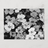 Waterverf rode ventilator 2 briefkaart (Achterkant)