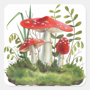 Waterverf Rode wilde paddenstoelen en Planten Vierkante Sticker