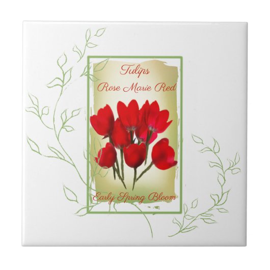Waterverf Rood Tulpzaadpakket Tegeltje (Voorkant)