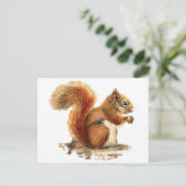 Waterverf Roodeekhoorn Natuur Briefkaart (Staand voorkant)