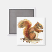 Waterverf Roodeekhoorn Natuur Magneet (Voorkant / Achterkant)