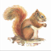 Waterverf Roodeekhoorn Natuur Wilde dieren Kunst Sticker (Voorkant)