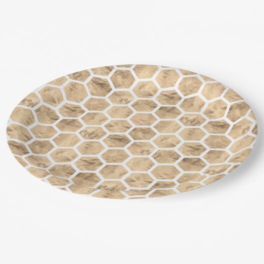 Waterverf roos gouden honingraatpatroon papieren bordje (Gekanteld)