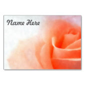 Waterverf Roos Plaats kaart (Achterkant)