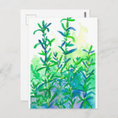 Waterverf Rosemary Herb Blue Briefkaart (Voorkant / Achterkant)