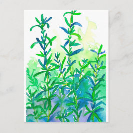 Waterverf Rosemary Herb Blue Briefkaart