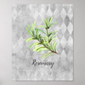 Waterverf Rosemary Herb Poster (Voorkant)