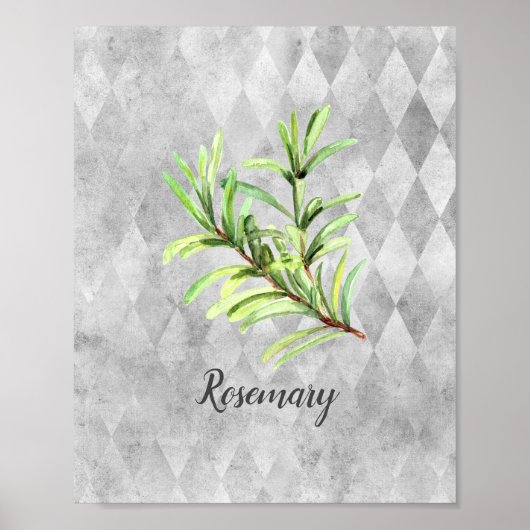 Waterverf Rosemary Herb Poster (Voorkant)