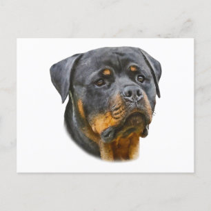 Waterverf Rottweiler Briefkaart