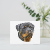 Waterverf Rottweiler Briefkaart (Staand voorkant)