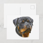 Waterverf Rottweiler Briefkaart (Voorkant / Achterkant)