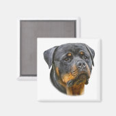 Waterverf Rottweiler Magneet (Voorkant / Achterkant)