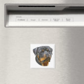 Waterverf Rottweiler Magneet (Insitu (Vaatwasser))