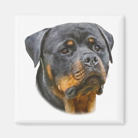 Waterverf Rottweiler Magneet (Voorkant)