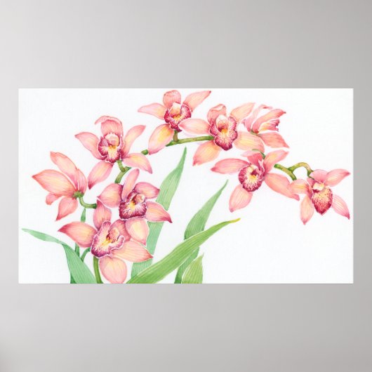 Waterverf Roze bloemen Poster (Voorkant)