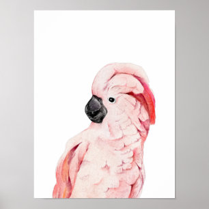 Waterverf Roze Cockato Moluccan Poster