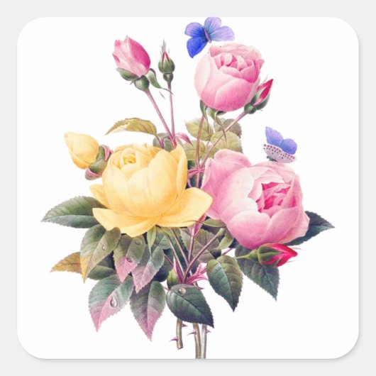  Waterverf Roze en gele rozen Botanisch Vierkante Sticker (Voorkant)