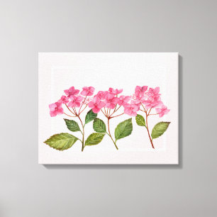 Waterverf Roze Hydrangea Lacecaps Illustratie Canvas Afdruk