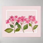 Waterverf Roze Hydrangea Lacecaps Illustratie Poster (Voorkant)