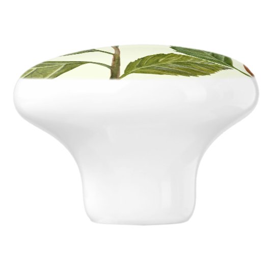 Waterverf Roze Hydrangea Lacecaps Patroon Keramische Knop (Zijkant)