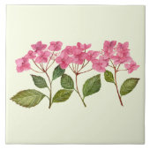 Waterverf Roze Hydrangea Lacecaps Patroon Tegeltje (Voorkant)