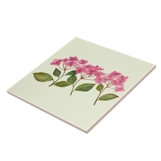 Waterverf Roze Hydrangea Lacecaps Patroon Tegeltje (Zijkant)