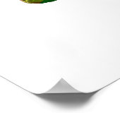 Waterverf roze papaver  bloem poster (Hoek)