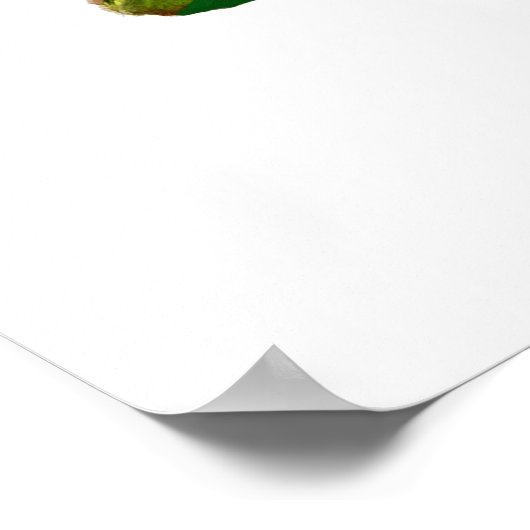 Waterverf roze papaver  bloem poster (Hoek)