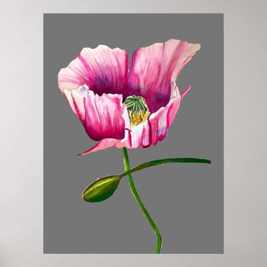 Waterverf roze papaver  bloem poster (Voorkant)