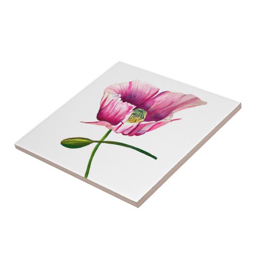 Waterverf roze papaver  bloem tegeltje (Zijkant)