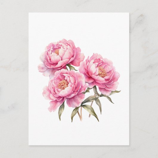 Waterverf Roze Pioen Bloemen Briefkaart (Voorkant)