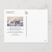 Waterverf Roze Poinsettia Vrolijk Kerstfeest Foto Feestdagenkaart (Achterkant)